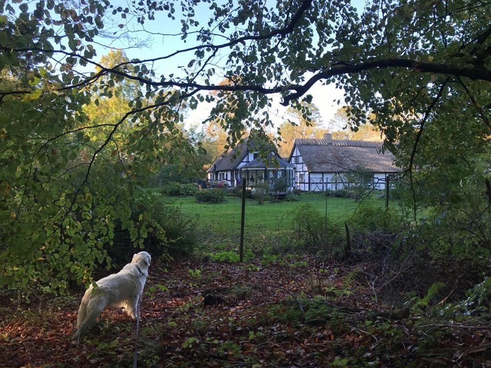 The Foresters House- Idyllic Tranquility- Non Smokers Only Store Heddinge Экстерьер фото