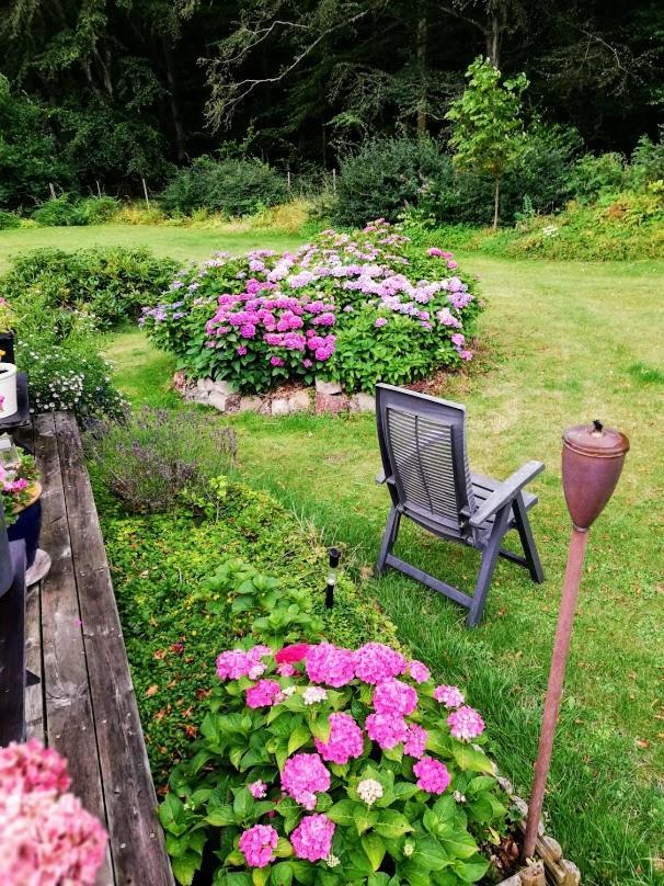 The Foresters House- Idyllic Tranquility- Non Smokers Only Store Heddinge Экстерьер фото